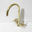 Brass Gooseneck Faucet Single Hole