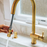 Brass Pull Down Kitchen Faucet