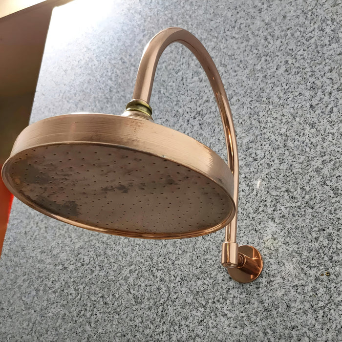 Solid Copper Dome Showerhead