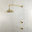 Unlacquered Brass Shower System