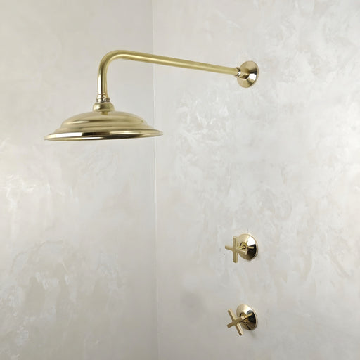 Unlacquered Brass Shower System