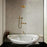 Unlaquered Brass Shower Set, Faucet and Handheld